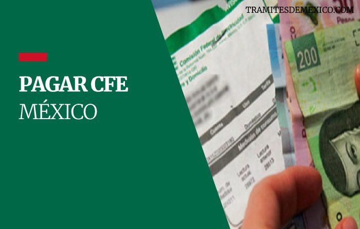 Donde pagar CFE en México?